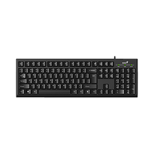 Genius KB-100 Keyboard