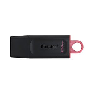 Kingston DTX/256GB USB 3.2 Flash drive