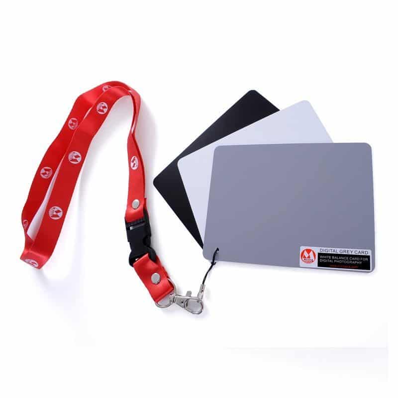 Micnova White Balance Card Set for Digital Photography (Medium)