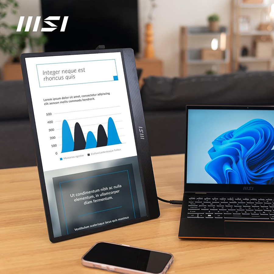 MSI PRO MP165 E6 15.6″ Portable Monitor