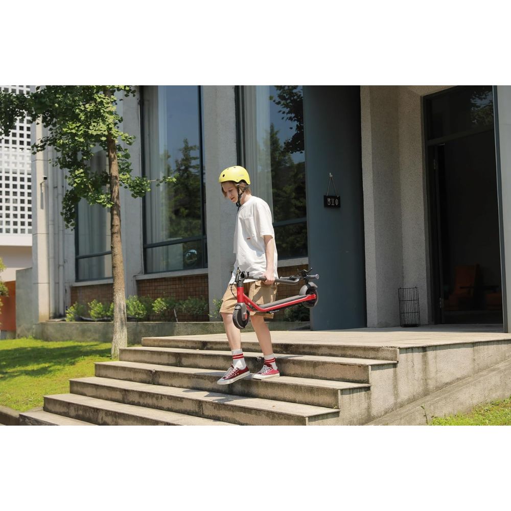 Ninebot Segway KickScooter ZING C15E