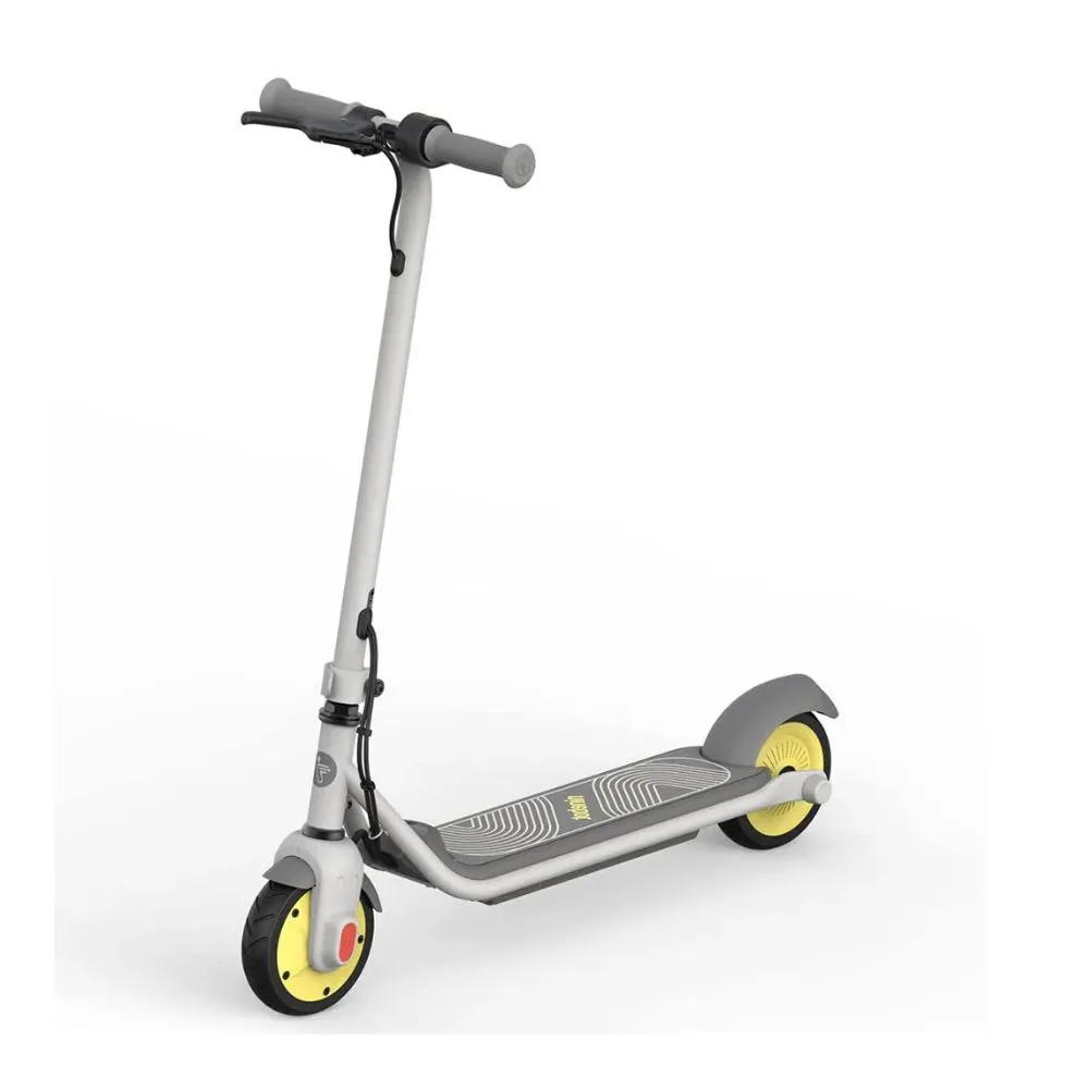 Segway Ninebot KickScooter Zing C10