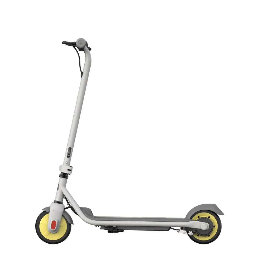 Segway Ninebot KickScooter Zing C10