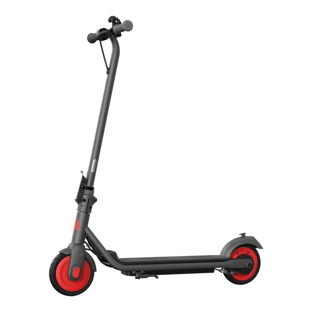 Segway Ninebot Zing C20 Electric Scooter