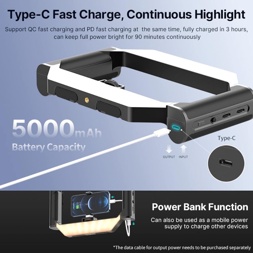 ULANZI Smartphone Video Rig With Light